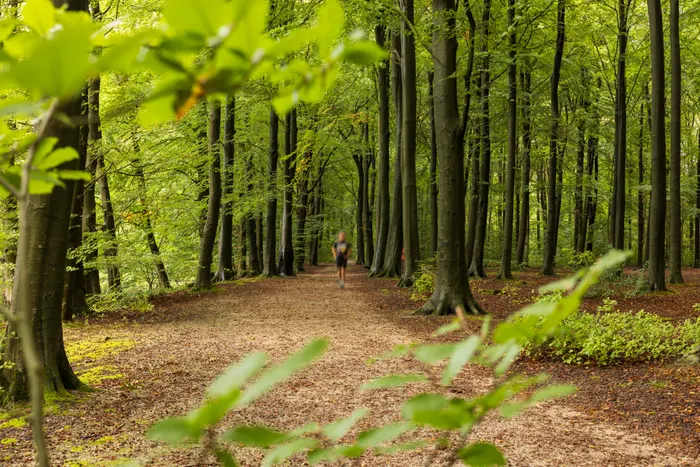 Improving Consistency With Nature Walk Planning