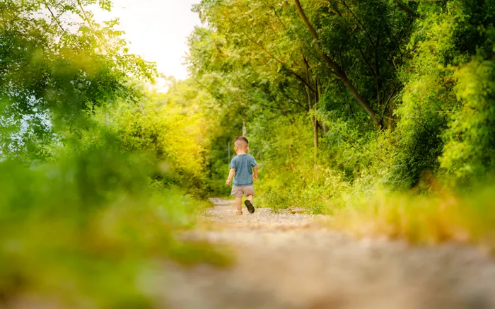 Refreshing a Stale Nature Walk Planning Routine